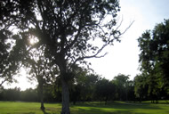 vista desde el terreno hacia el campo de golf