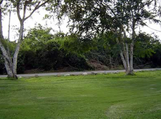 Terreno en venta en Club de Golf La Ceiba